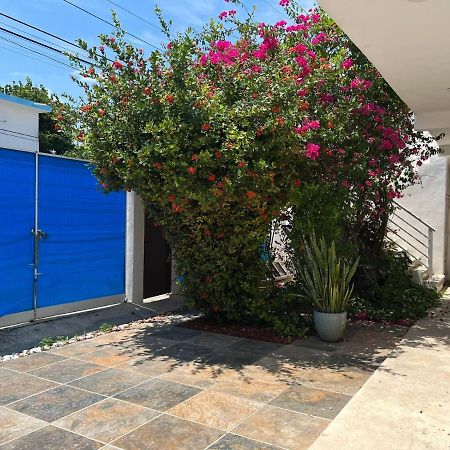 Casa Nuria Apartment Плая дел Кармен Екстериор снимка